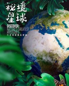 厦门引进人才马小波当选欧洲自然科学院院士